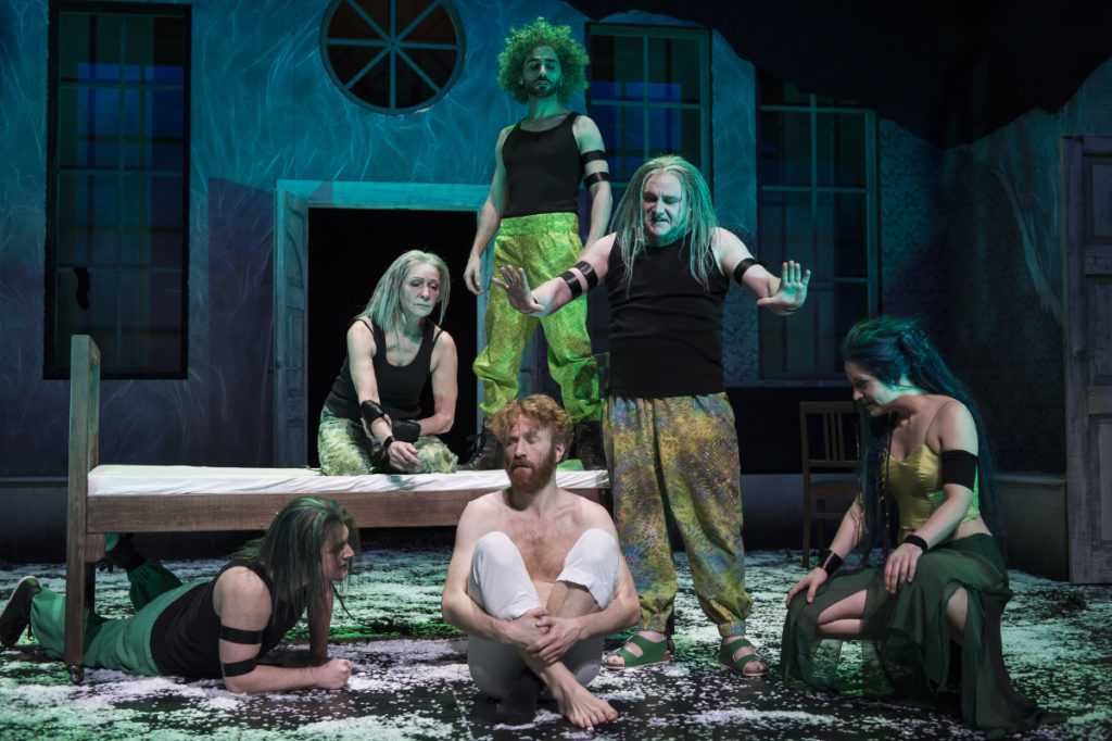 Peer Gynt, Bühnenfassung eines dramatischen Gedichts von Henrik Ibsen, Landesbühne Niedersachsen Nord Wilhelmshaven, 2017, Regie: Arne Retzlaff, Bühnenbild und Kostüme: Cornelia Just, Fotos: Volker Beinhorn